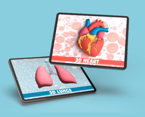 3d-PORTFOLIO-495x400