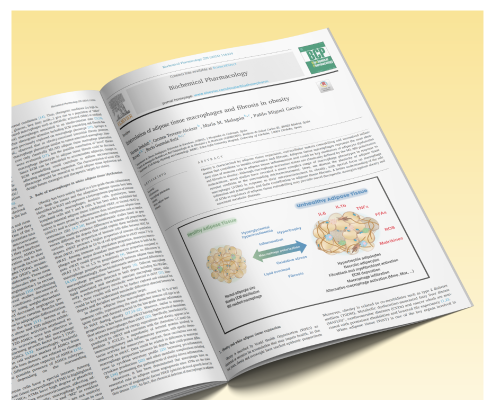 graphical-abstract-1-portfolio-495x400