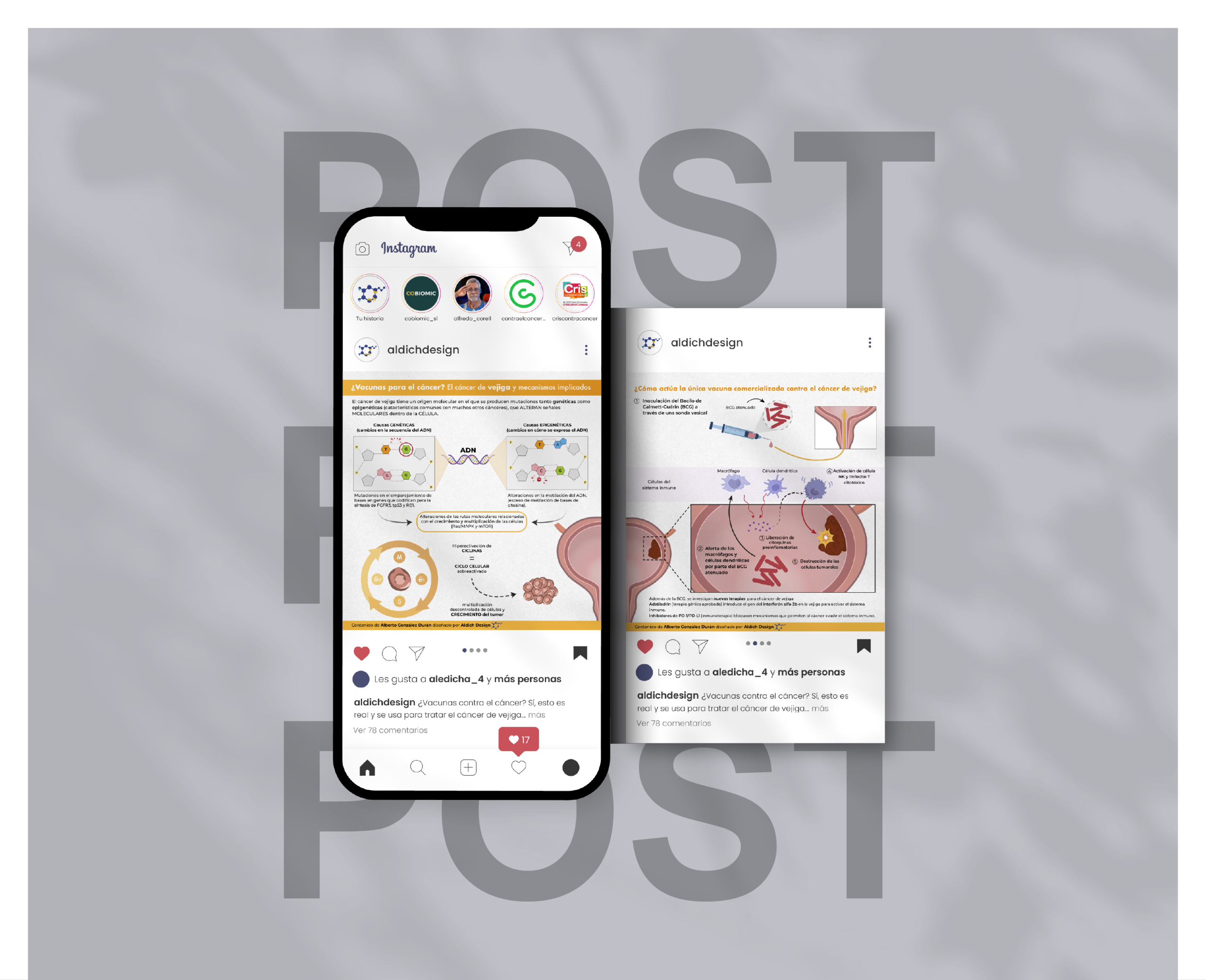 MOCKUP CANCER VEJIGA PORTFOLIO