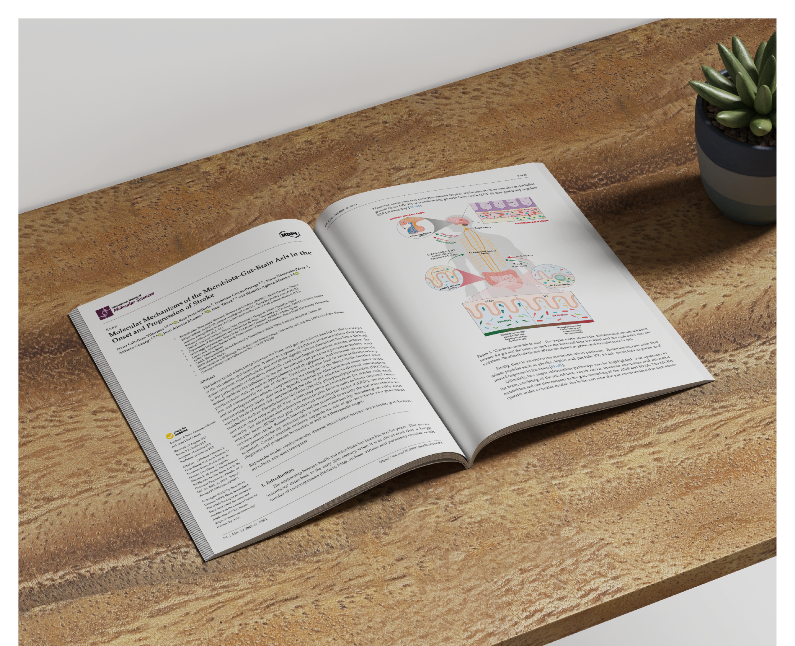 PORTADA JAVIER CABALLERO PORTFOLIO