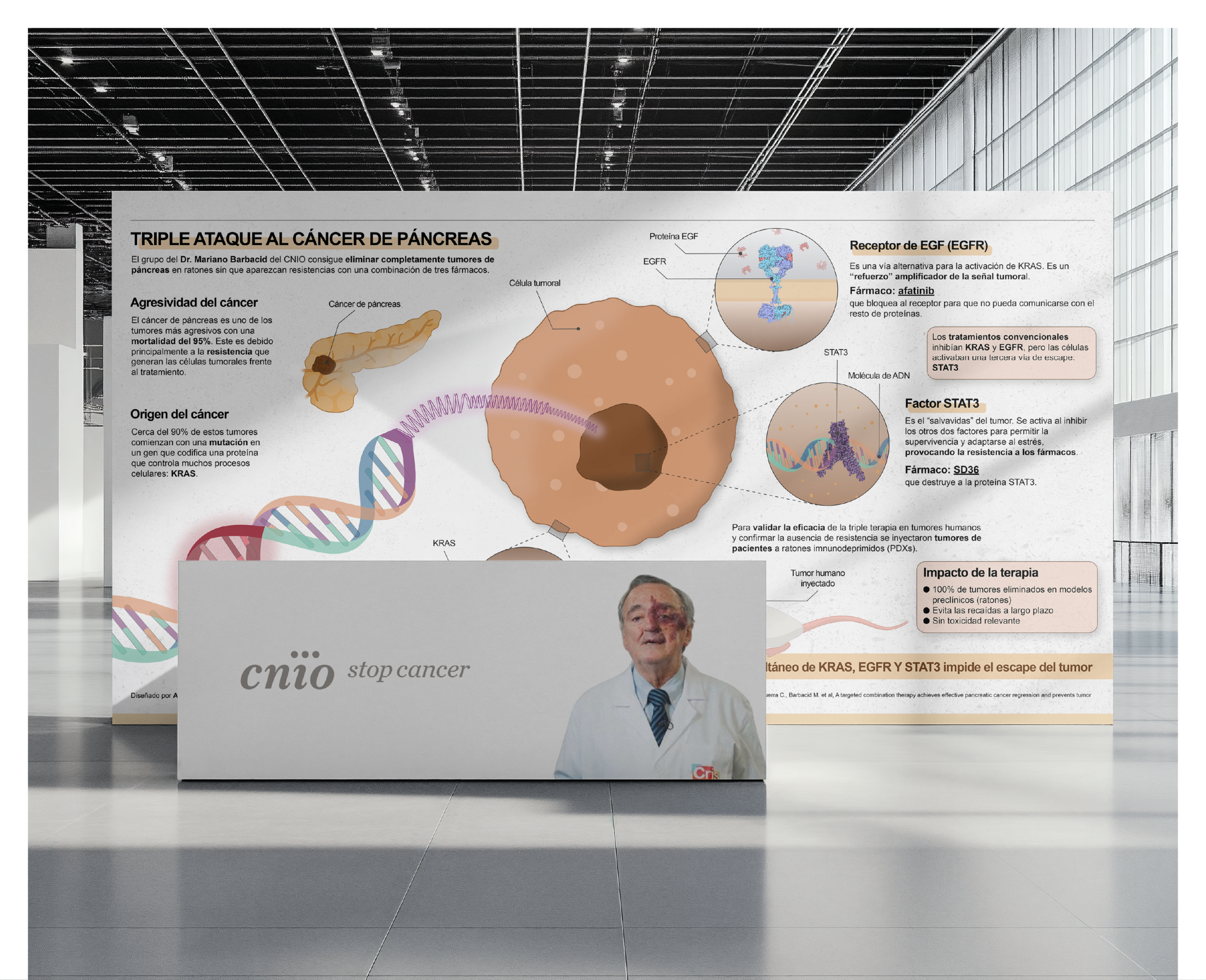 cancer pancreas barbacid PORTFOLIO
