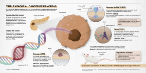 Infografía divulgativa sobre la investigación en cáncer de páncreas del Dr. Mariano Barbacid